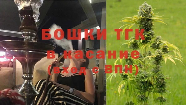 apvp Горнозаводск